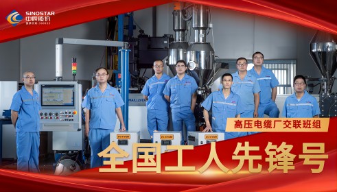 致敬!丨XPJ官网股份交联班组荣膺“全国工人前锋号”